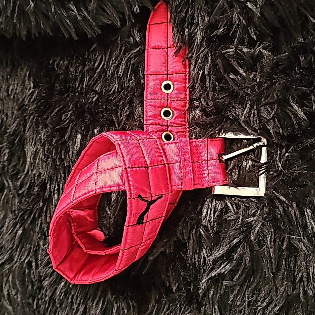 Puma Belt - Red
